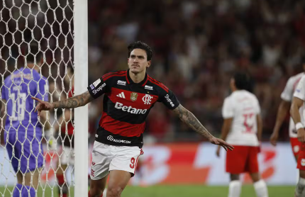 Flamengo no Campeonato Brasileiro